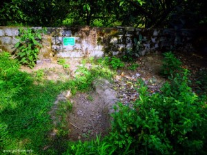 Vermicompost Hole