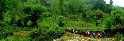 جنگل پیمایی مرسه به کناله