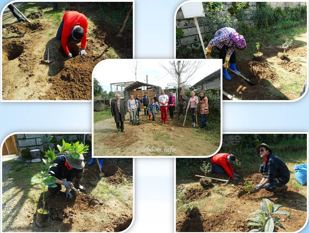 eco travelers participate in tree planting , Ecotourism and eco traveler
