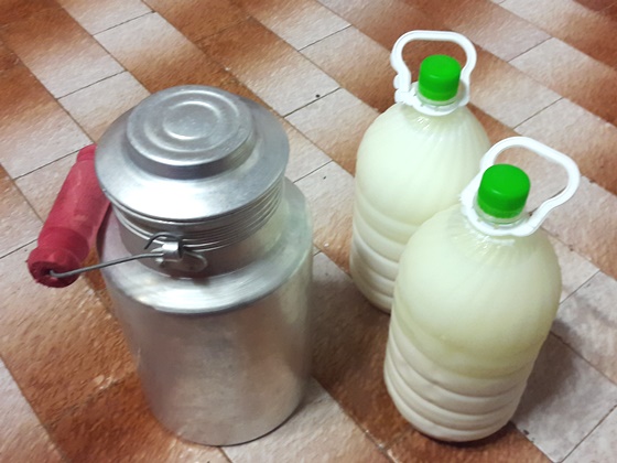 Replacing Dough Plastic Bottle with Metal Container : Zero Waste theory