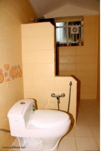 Shared Western Style Toilet and Shower