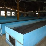 تجهیزات تولید چای سبز و سیاه در کارخانه واجارچای