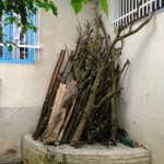 سکو: محل انبار تنه های درختان