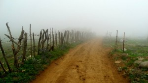Fog in Javaher-Dasht