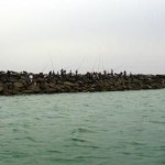 مشاهده ماهیگیران در قایق سواری تالاب چمخاله