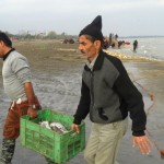 مشاهده صید ماهی در ساحل روستای قاسم آباد