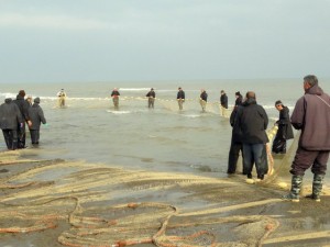 مشاهده صید ماهی در ساحل قاسم آباد