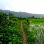 گذرهای پیاده روی در روستای قاسم آباد سفلی