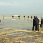 کار دسته جمعی ماهیگیران در صید ماهی سفید