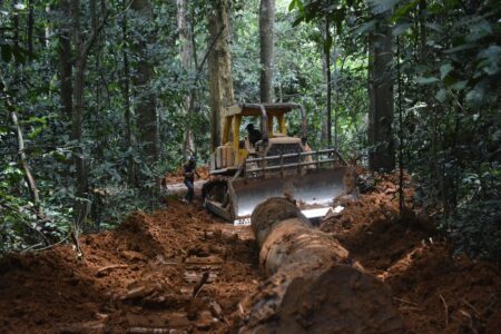 A bulldozer opening a secondary logging road in a tropical rainforest